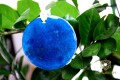 REVATI BLUE II