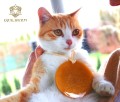 SUN Pomponik