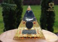 PURVA2