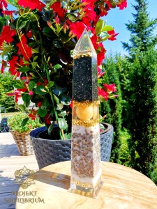  Dhaniṣṭhā - obelisk dostatku, bogactwa i harmonii